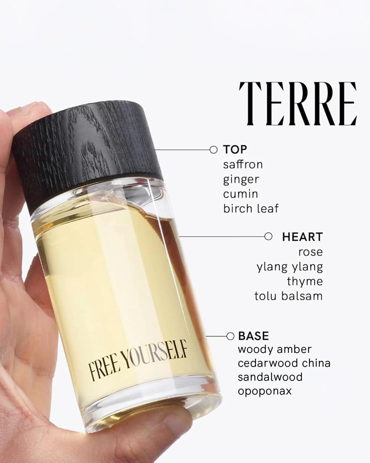 TERRE