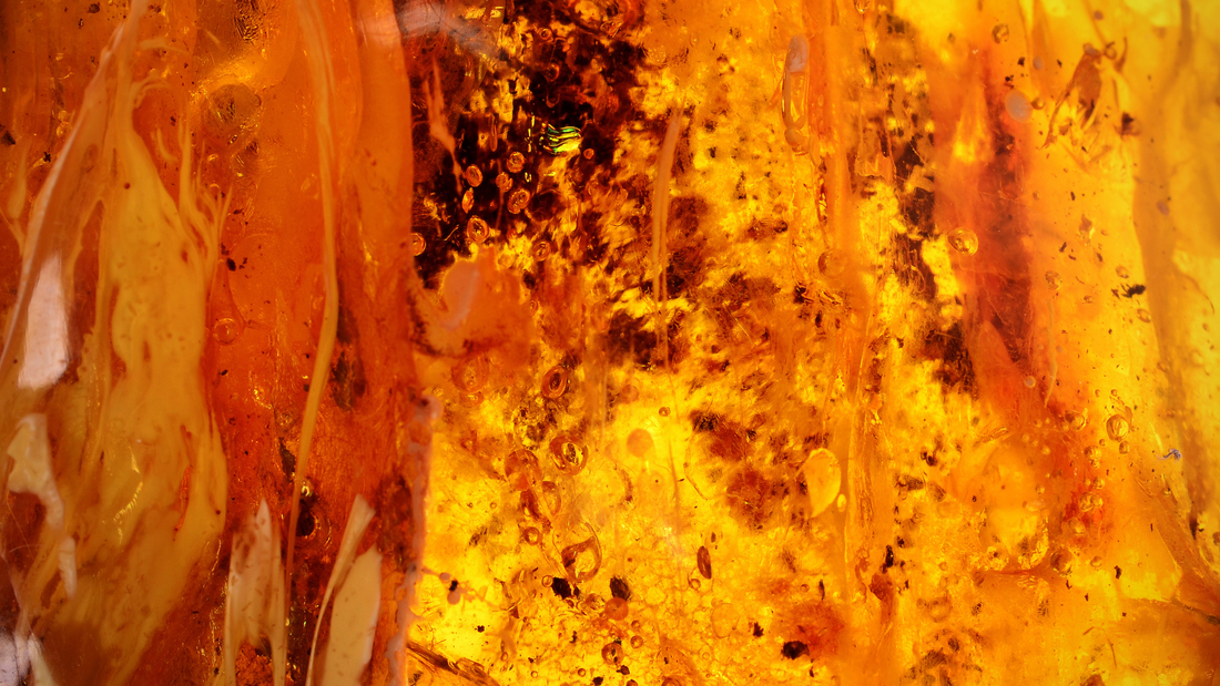 Parfums ambrés : l’élégance chaude qui séduit tous les sens