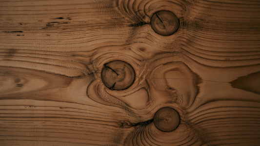 Parfums boisés pour l'hiver