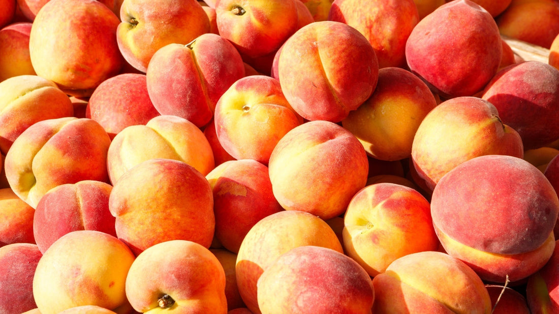 Parfums à la pêche : une note fruitée, solaire et sensuelle