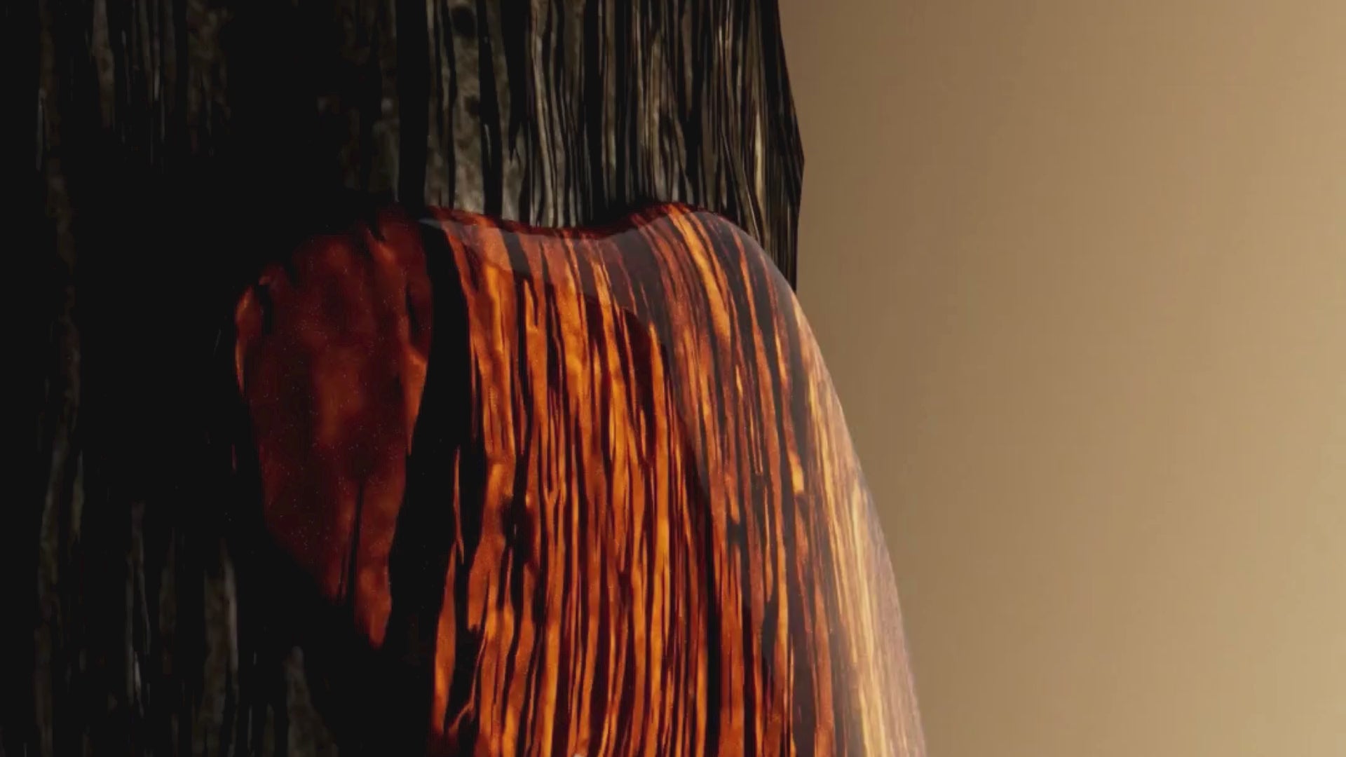 Charger la vidéo : 